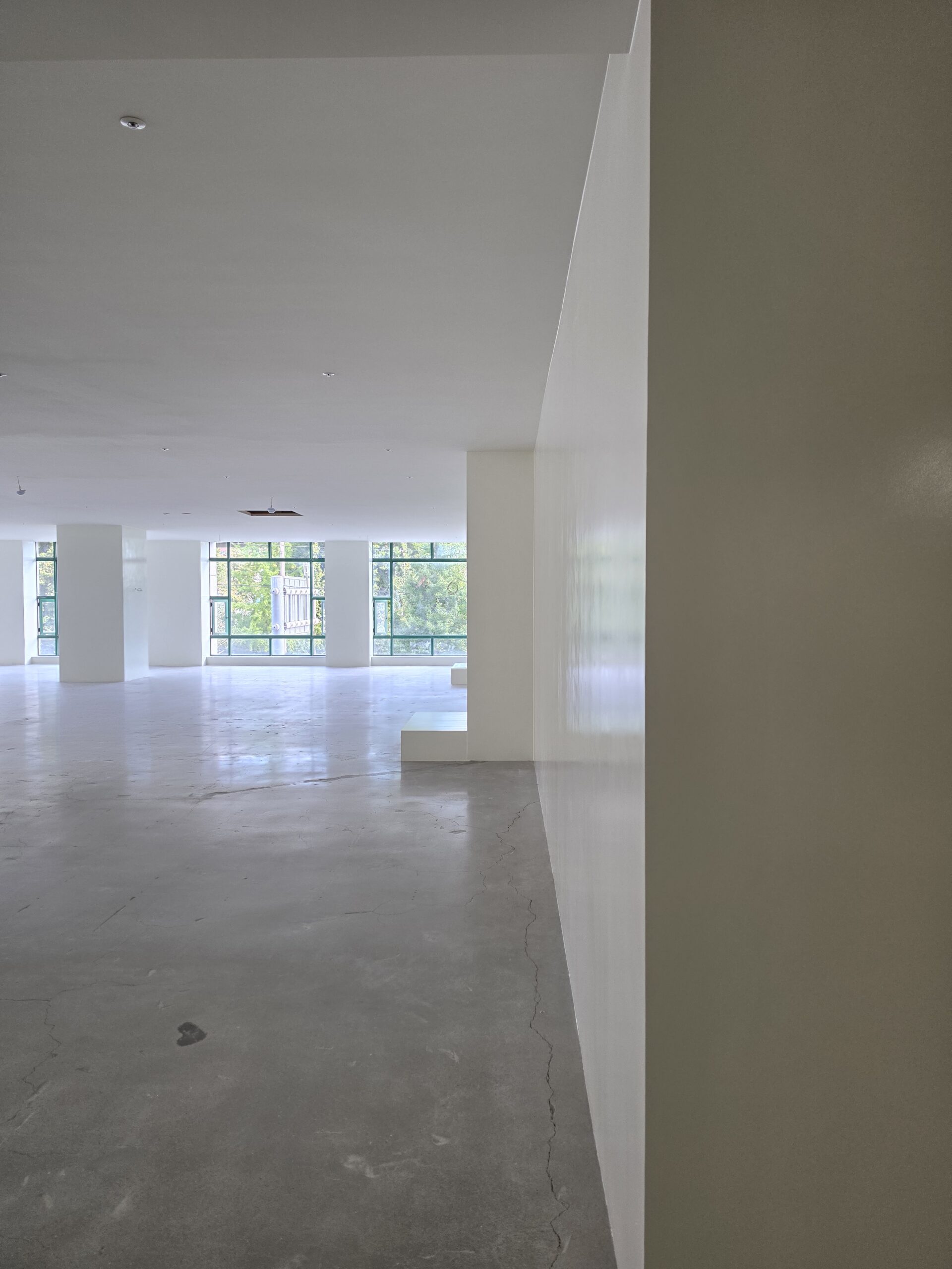 matte ceiling commercial interior
